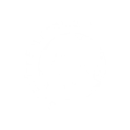SFE_logo_n_.png
